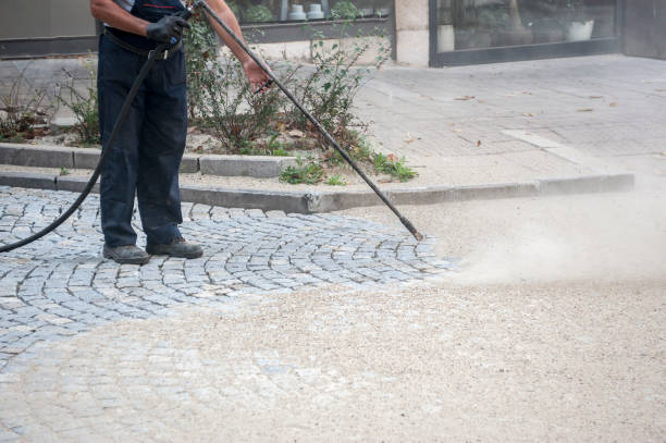 Best Fence Cleaning  in Dravosburg, PA